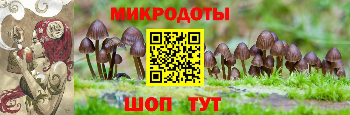 Псилоцибиновые грибы MAGIC MUSHROOMS  Вход с VPN  Орёл 
